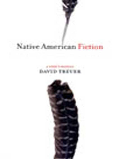 Cover image for Native American Fiction
